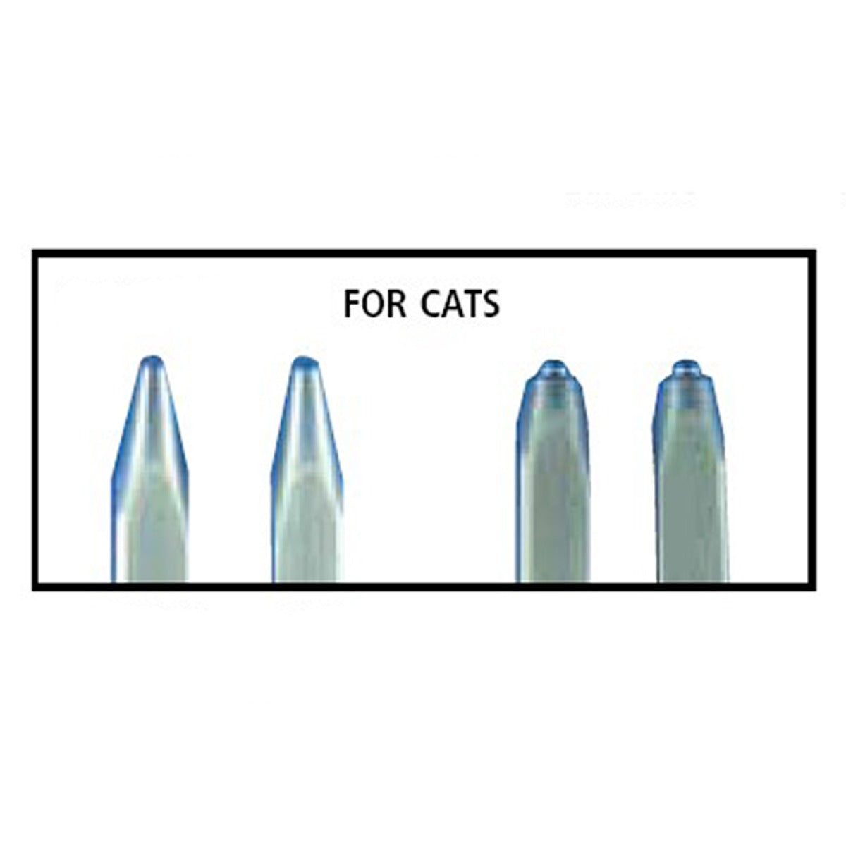 505231-cat_4