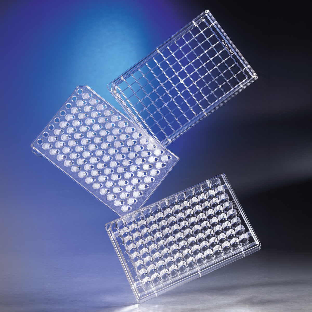 EVM-AC-03-C3381