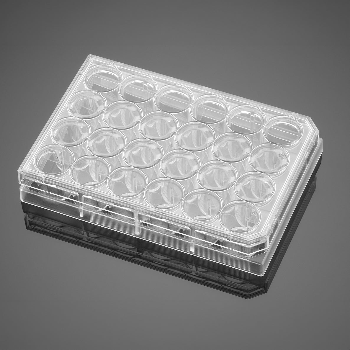 Corning® BioCoat® Control Inserts with 0.4 microns PET Membrane in two 24-well Plates, 12/Pack
