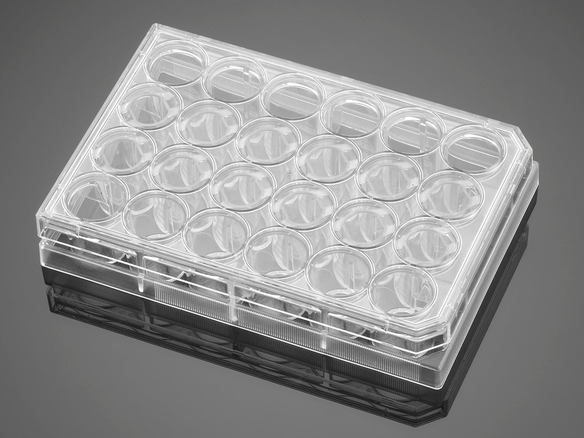 Corning® BioCoat® Collagen I Inserts with 0.4 um PET Membrane 24-well Plates, 12/Pack, 24/Case