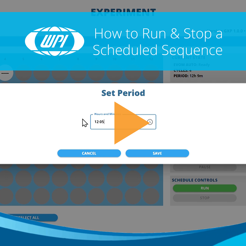 How to Run & Stop a Scheduled Sequence with EVOM™ Auto GxP – World ...