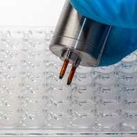 PRESS RELEASE: WPI & MatTek Jointly Announce New Distribution Agreement   