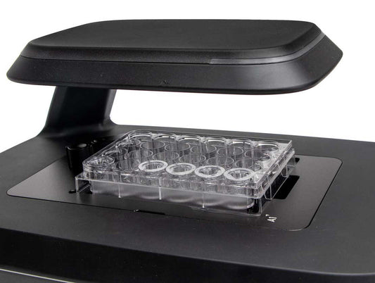 APP NOTE: Observation of Mitosis using Celloger® Mini Plus