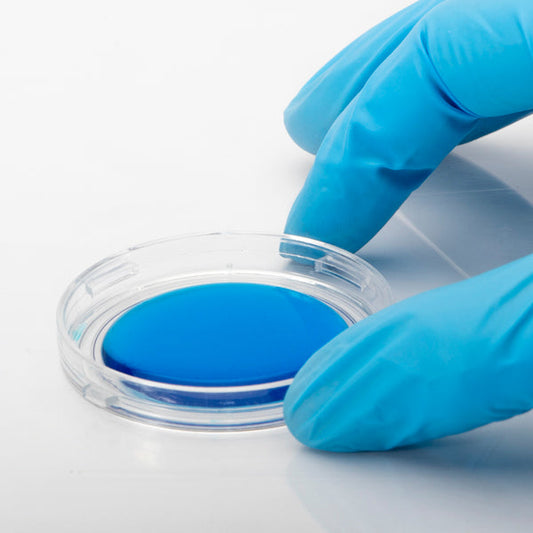 Poly-L-Lysine Coated Culture Dishes: Versatile, Reliable, & Biologically Active Surface