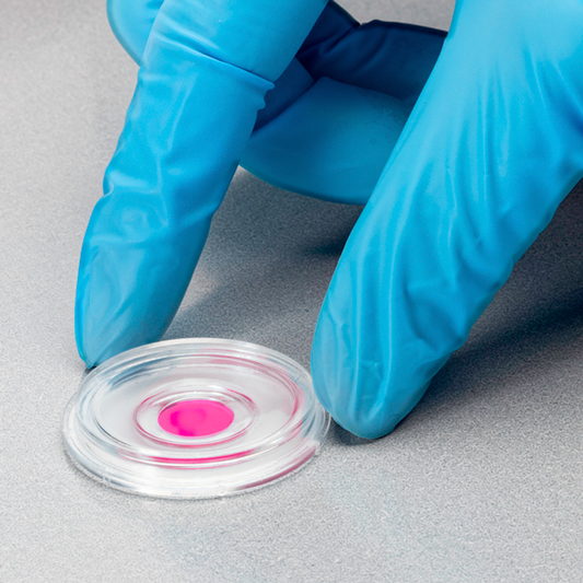 Cell Culture Dish 