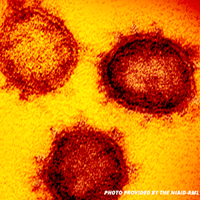 Genetic Transfer (viral or non-viral vector) Using Microprocessor-Controlled Injector