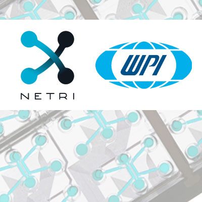 WPI and NETRI Announce Partnership to Enable TEER for Organs-on-Chip Technology