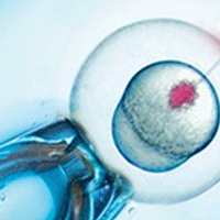 New Technology Makes Microinjection More Reliable, Repeatable and Affordable