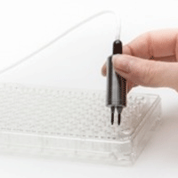 STX100 Electrodes TEER Measurement