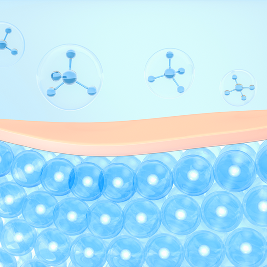 Understanding TEER: A Key Tool for Studying Barrier Integrity