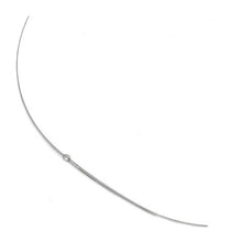 Mouse Carotid Artery Catheter, 32 G