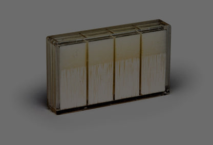 Absorbent Paper Points