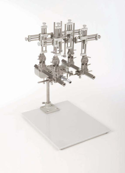 WPI Large Animal Parallel Rail Frames