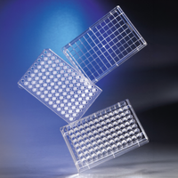 EVM-AC-03-C3381
