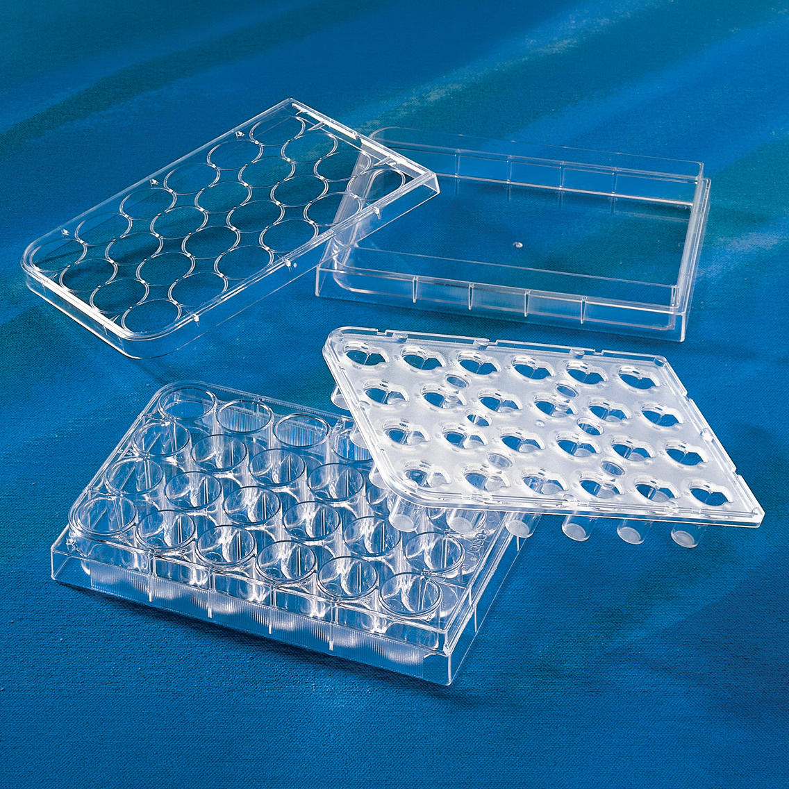 Clear plastic lab sample holders on a blue background