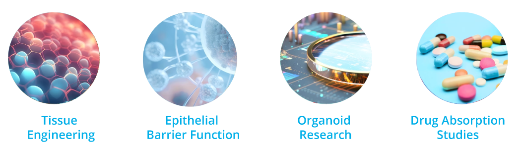 Applications for TEER measurment