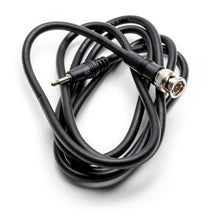 BNC-to-Mini Phone Plug Cable for DAM Series Extracellular Amplifiers
