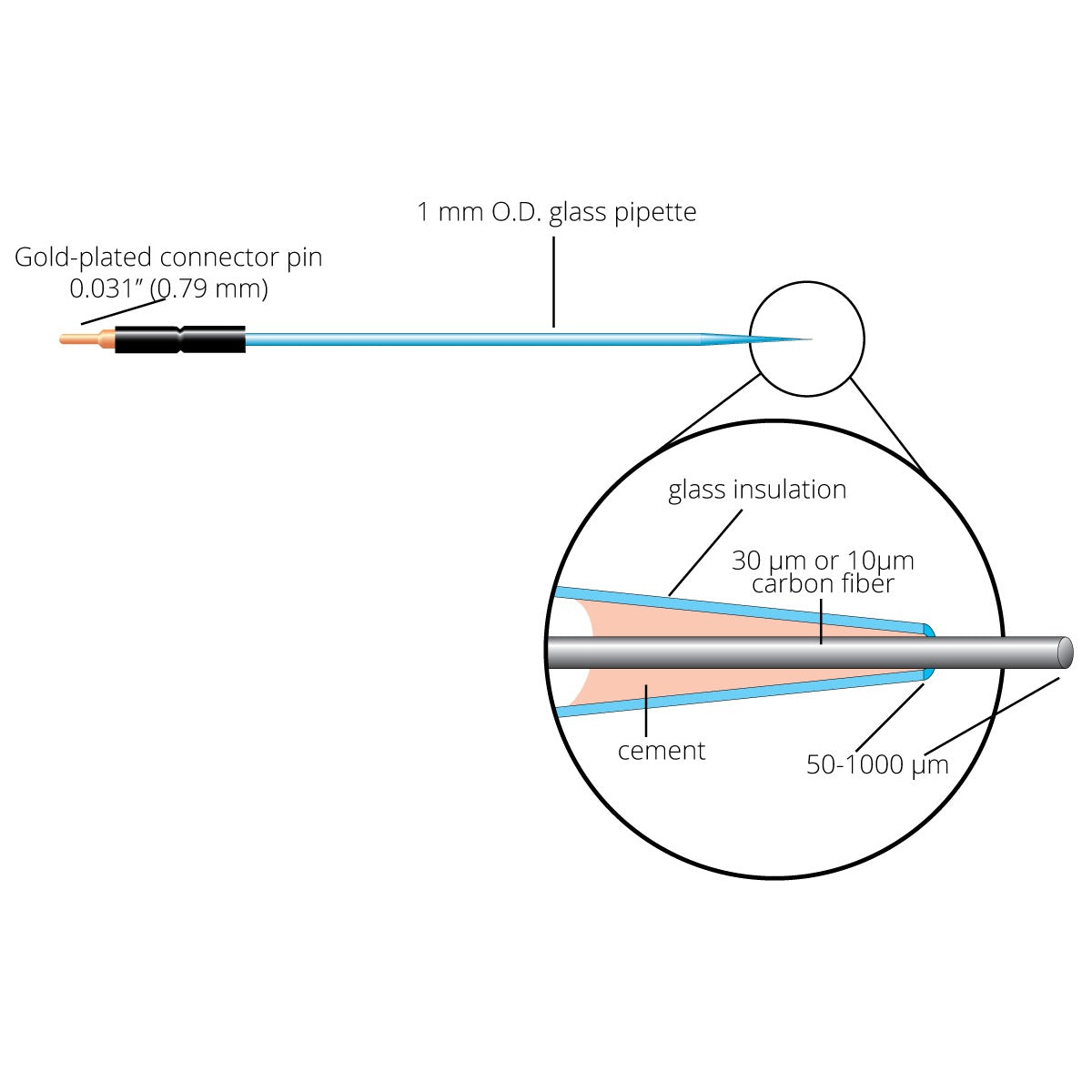 Carbon Fiber Electrode, Length 100 um