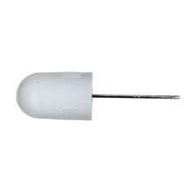 Neuroscience Dummy Cannula (22 or 26 gauge)