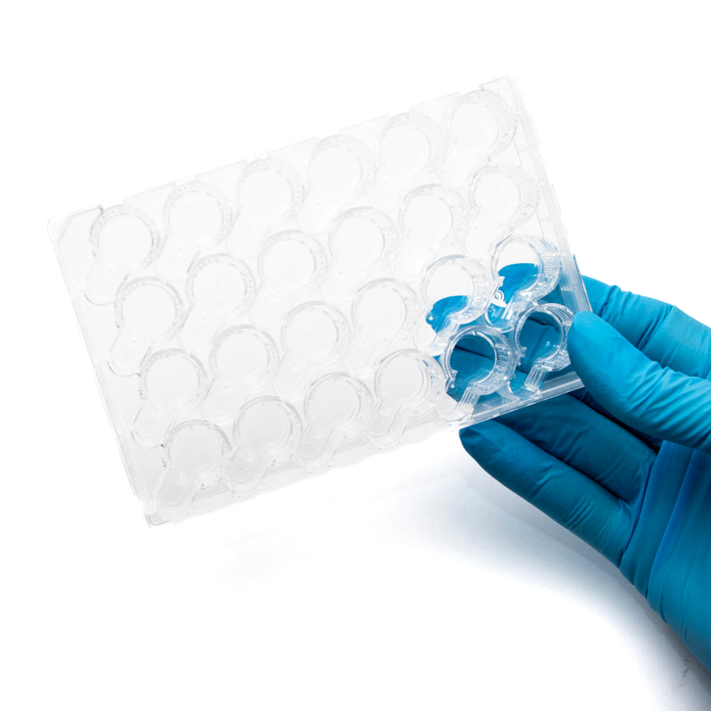 SUMILON Companion Plate for 24 Well Cell Culture Inserts, Pkg of 12