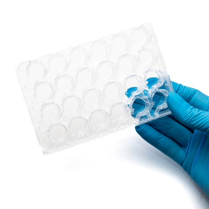 SUMILON Companion Plate for 24 Well Cell Culture Inserts, Pkg of 12