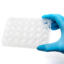 SUMILON Companion Plate for 24 Well Cell Culture Inserts, Pkg of 12