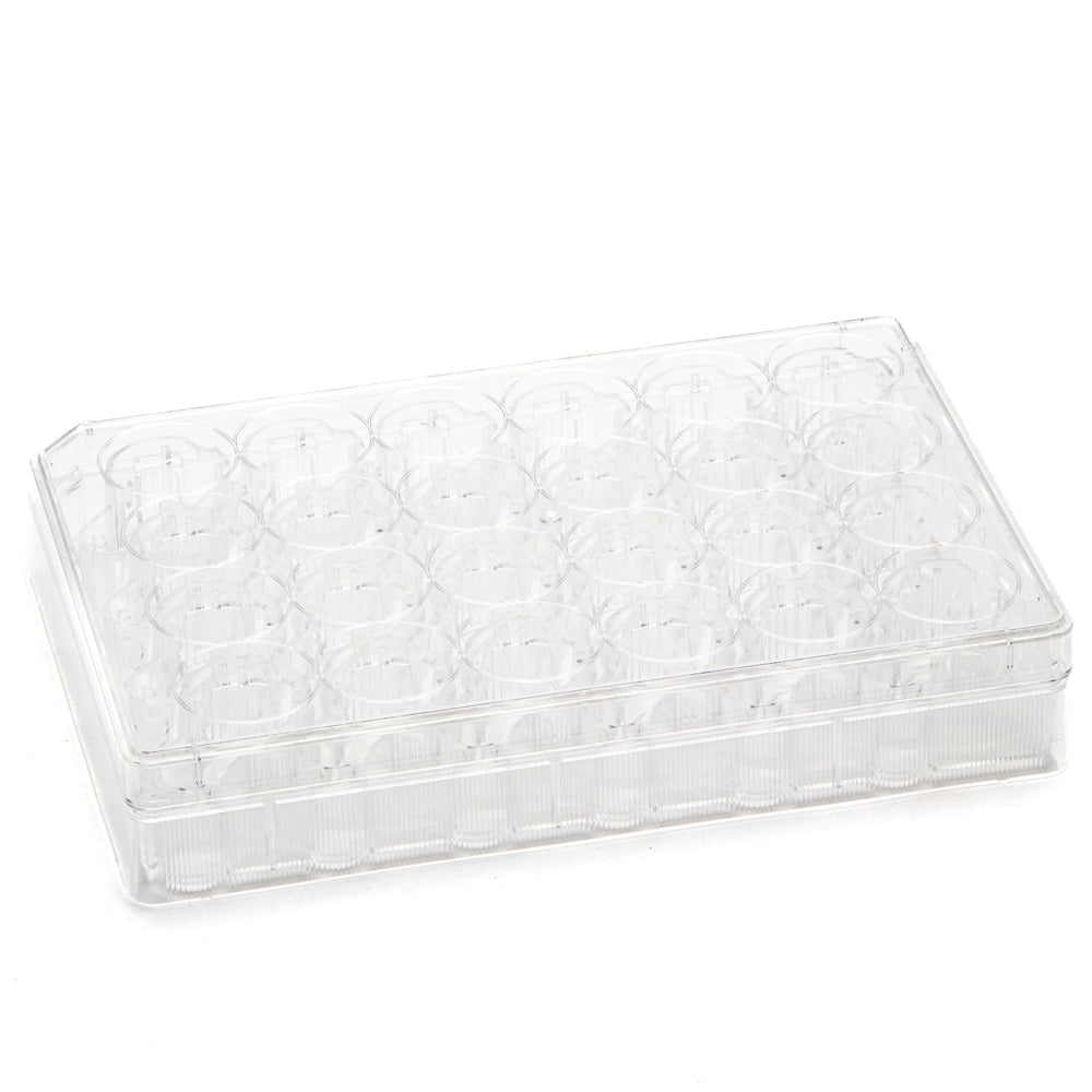 SUMILON Companion Plate for 24 Well Cell Culture Inserts, Pkg of 12