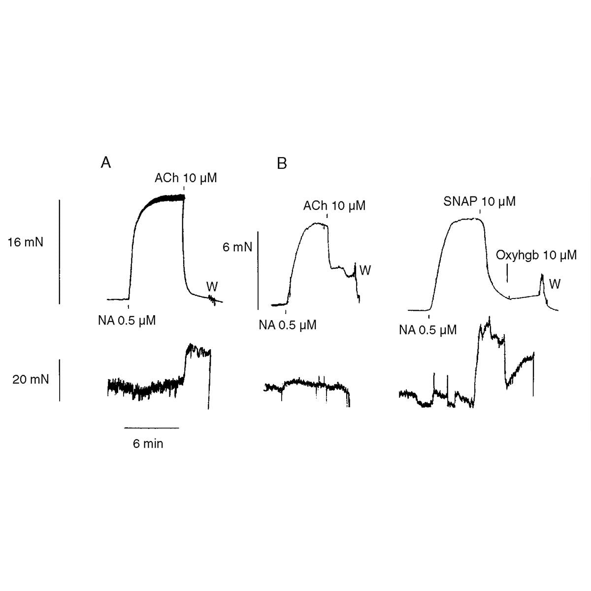 Micro Nitric Oxide Sensors