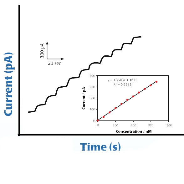 Micro Nitric Oxide Sensors