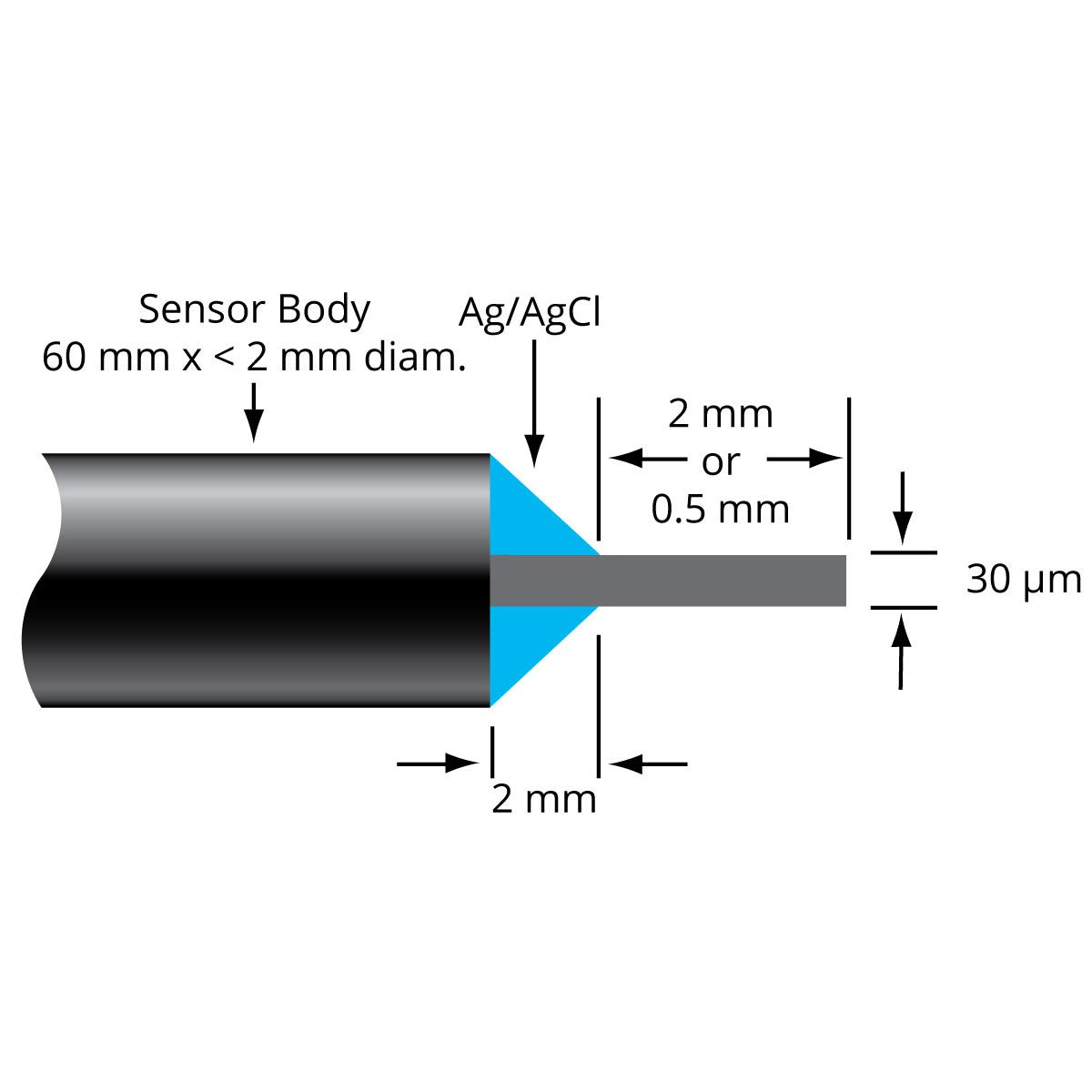 Micro Nitric Oxide Sensors