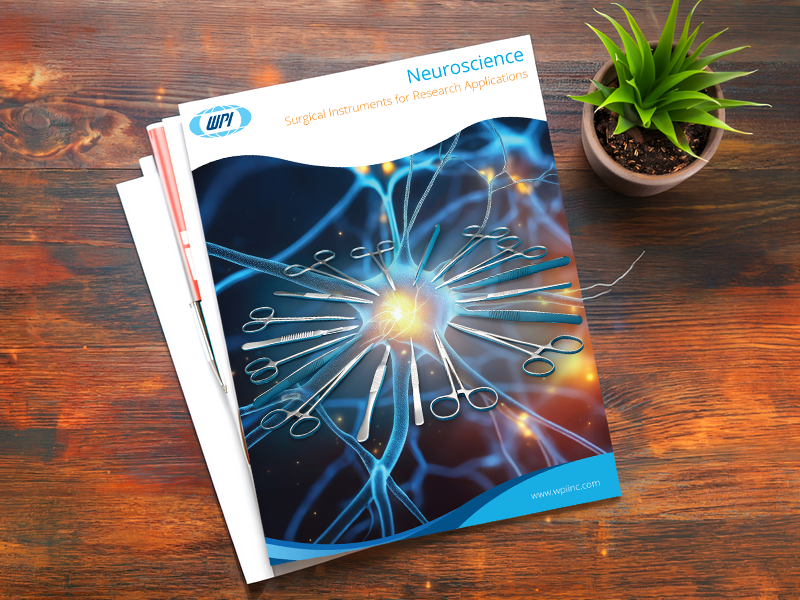 neuroscience brochure cover