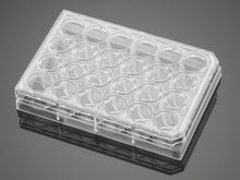 Corning® BioCoat® Collagen I Inserts with 0.4 um PET Membrane 24-well Plates, 12/Pack, 24/Case