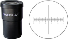 Microscope Reticle in 20x Eyepiece