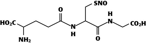 GSNO S-nitrosoglutatione