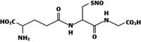s_nitrosoglutati_4ede7a9458260