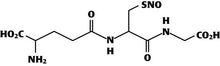 GSNO S-nitrosoglutatione
