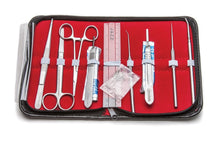 Student Anatomy Kit II