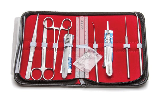 Student Anatomy Kit II