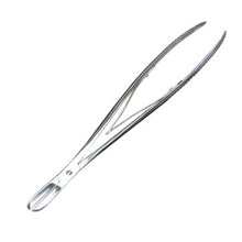 Councilman Rib Shears Box Lock, 11 in